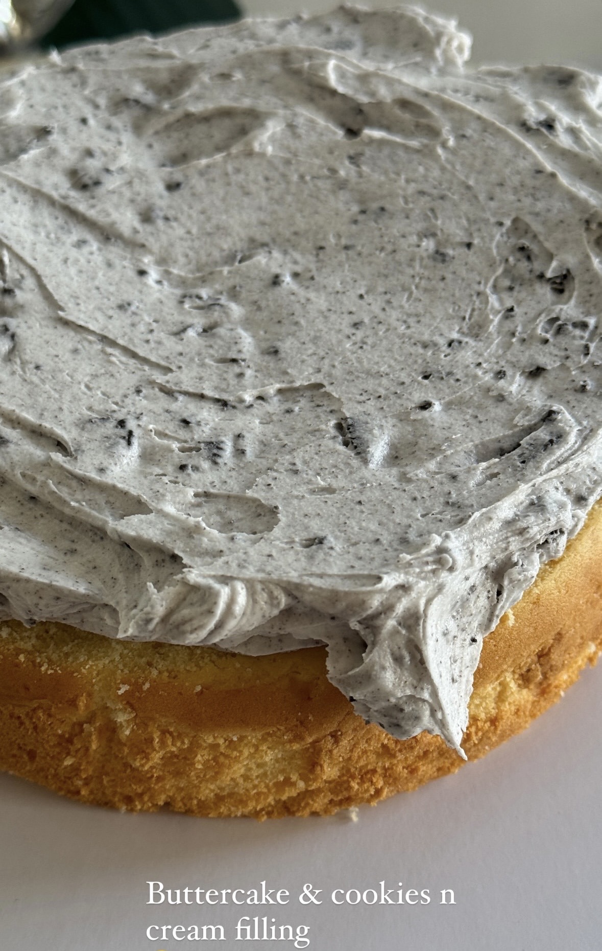 The Cake Studio & Behind the Scenes - Image 45