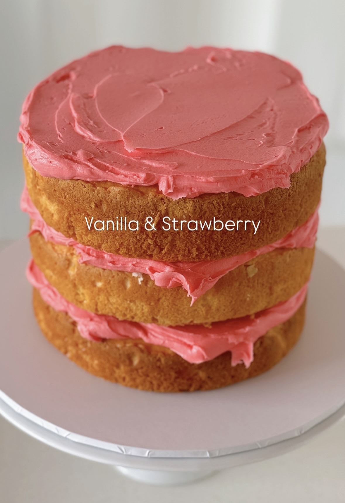 The Cake Studio & Behind the Scenes - Image 47