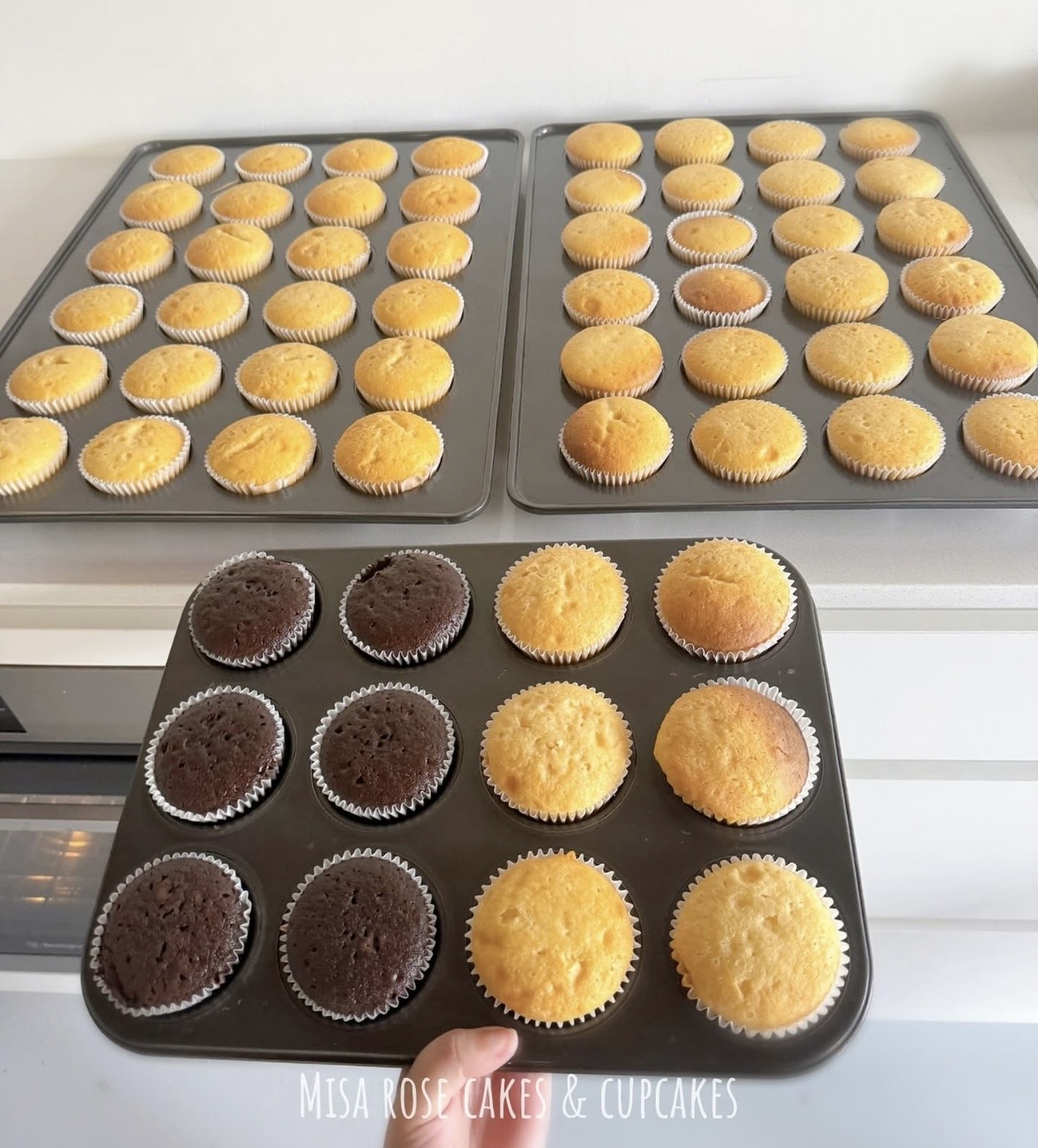 The Cake Studio & Behind the Scenes - Image 49