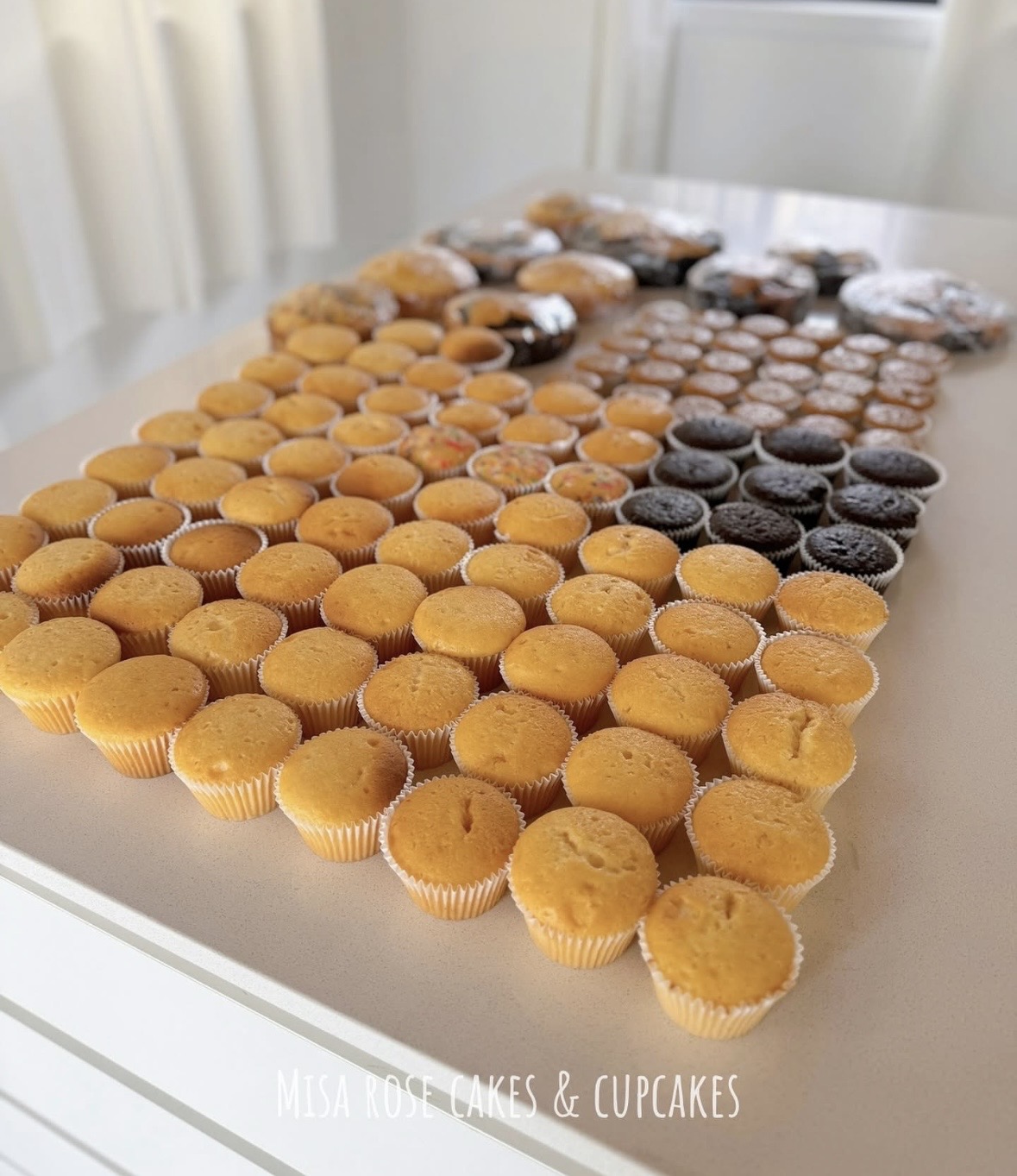 The Cake Studio & Behind the Scenes - Image 50